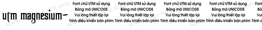 utm magnesium字体转换